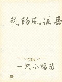 我的风流岳每