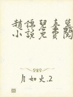 赵锦儿秦慕修的小说免费阅读全文