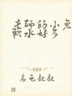 老师的小兔子好软水好多