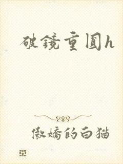 破镜重圆h