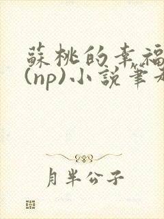 苏桃的幸福生活(np)小说笔趣阁沐沐