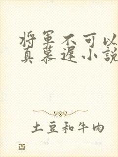将军不可以魏云真慕迟小说笔趣阁