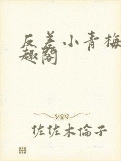 反差小青梅 笔趣阁