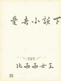 爱去小说下载网
