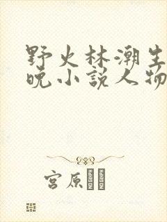 野火林潮生林晚晚小说人物野火