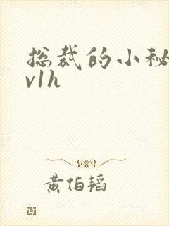 总裁的小秘书1v1h