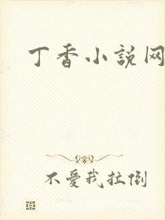 丁香小说网