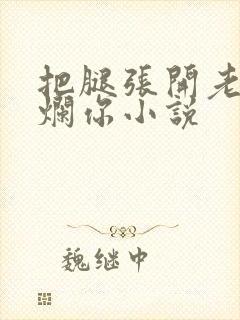 把腿张开老子臊烂你小说