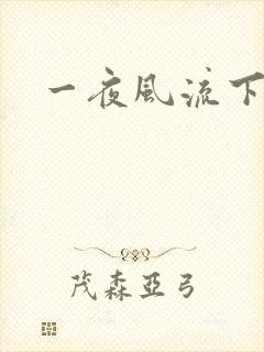 一夜风流下载