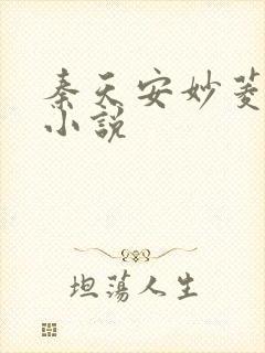 秦天安妙菱修仙小说