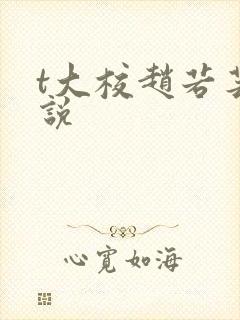 t大校赵若芸小说