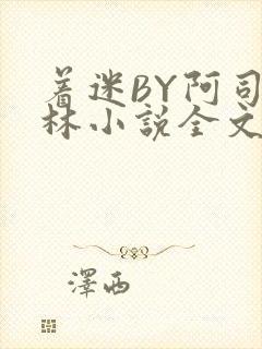 着迷BY阿司匹林小说全文免费阅读