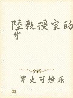 陆教授家的小月牙