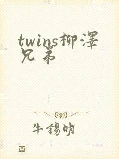 twins柳泽兄弟