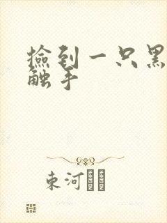 捡到一只黑心小触手