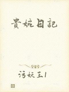 贵婉日记