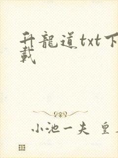升龙道txt下载