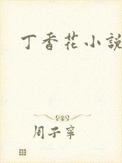 丁香花小说