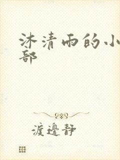 沐清雨的小说全部
