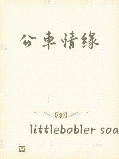 公车情缘