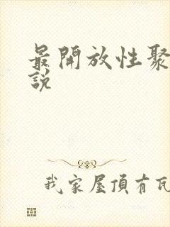 最开放性聚会小说