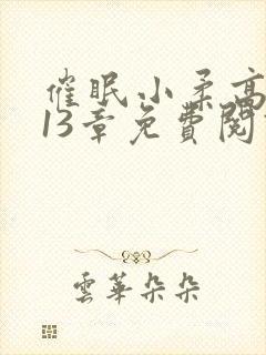 催眠小柔高达第13章免费阅读