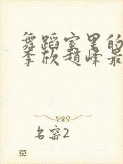 舞蹈室里的景色李欣赵峰最新章节