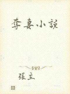 夺妻小说