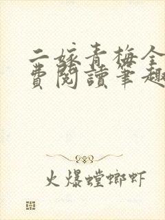 二嫁青梅全文免费阅读笔趣阁