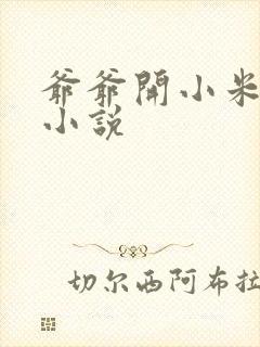 爷爷开小米的包小说