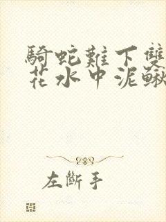 骑蛇难下双金银花水中泥鳅双男主
