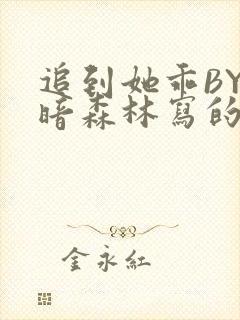 追到她乖BY黑暗森林写的小说