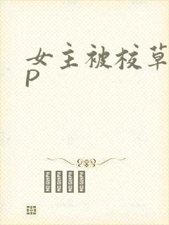 女主被校草们NP