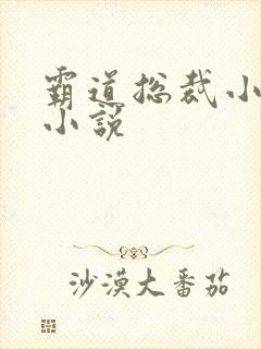 霸道总裁小娇妻小说