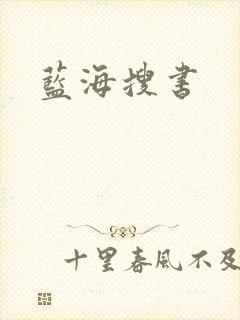 蓝海搜书