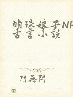 明珠娘子NPC古言小说
