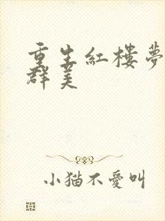 重生红楼梦之御群美