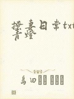 撩妻日常txt青灯