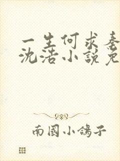 一生何求秦菲雪沈浩小说免费阅读全文笔趣阁