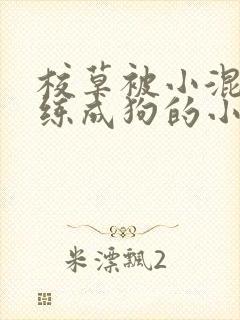 校草被小混混训练成狗的小说