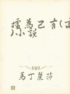 据为己有(高干)小说