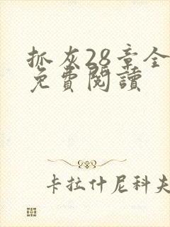 抓灰28章全部免费阅读