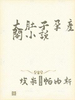 大肚子孕产笔趣阁小说