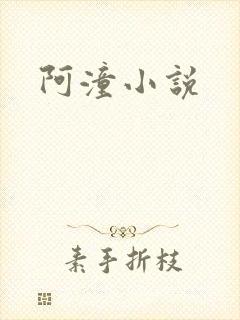 阿潼小说