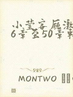 小莹客厅激情46章至50章软件介绍