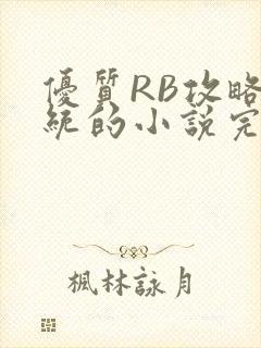 优质RB攻略系统的小说完整版