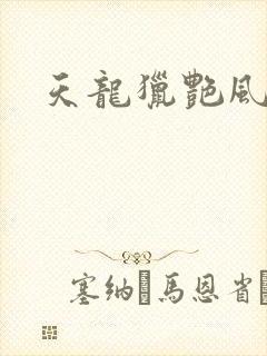 天龙猎艳风流
