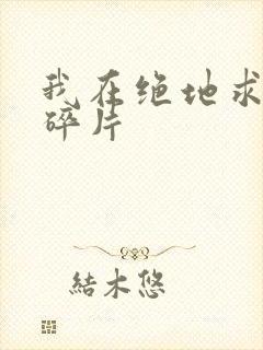 我在绝地求生捡碎片