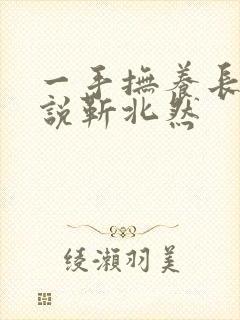 一手抚养长大小说靳北然