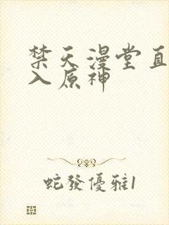 禁天漫堂直接进入原神